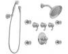 ShowHouse by Moen Savvy S596 Chrome ExactTemp 3/4" Vertical Spa Set