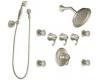 ShowHouse by Moen Savvy S596BN Brushed Nickel ExactTemp 3/4" Vertical Spa Set