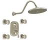 ShowHouse by Moen Waterhill TS511BN Brushed Nickel Moentrol Vertical Spa Set