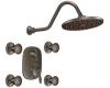 ShowHouse by Moen Waterhill TS511ORB Oil Rubbed Bronze Moentrol Vertical Spa Set