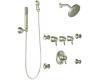 ShowHouse by Moen Fina TS51706BN Brushed Nickel Exacttemp Vertical Spa Trim Kit