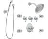 ShowHouse by Moen Savvy TS596 Chrome ExactTemp 3/4" Vertical Spa Set