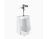 Sloan 10001001 WEUS-1000.1001 Su-1009 Standard Urinal & Royal 186 Flushometer Sloan 10001001 WEUS-1000.1001 Su-1009 Standard Urinal & Royal 186 Flushometer