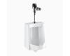 Sloan 10001201 WEUS-1000.1201 Su-1009 Standard Urinal & Solis8186 Flushometer Sloan 10001201 WEUS-1000.1201 Su-1009 Standard Urinal & Solis8186 Flushometer