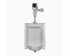 Sloan 10001401 WEUS-1000.1401 Su-1009 Standard Urinal & Ecos 8186 Flushometer Sloan 10001401 WEUS-1000.1401 Su-1009 Standard Urinal & Ecos 8186 Flushometer