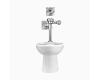 Sloan 20001301 WETS-2000.1301 ST-2009 Floor Mount Closet & Royal 111 Ess Flushometer Sloan 20001301 WETS-2000.1301 ST-2009 Floor Mount Closet & Royal 111 Ess Flushometer