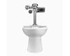 Sloan 20001302 WETS-2000.1302 ST-2009 Floor Mount Closet & Royal 111 Hws Flushometer Sloan 20001302 WETS-2000.1302 ST-2009 Floor Mount Closet & Royal 111 Hws Flushometer