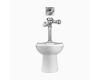 Sloan 20001304 WETS-2000.1304 ST-2009 Floor Mount Closet & Royal 111 Ess Tmo Flushometer Sloan 20001304 WETS-2000.1304 ST-2009 Floor Mount Closet & Royal 111 Ess Tmo Flushometer