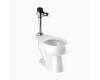 Sloan 20001401 WETS-2000.1401 ST-2009 Floor Mount Closet & G2 Opt 8111 Flushometer Sloan 20001401 WETS-2000.1401 ST-2009 Floor Mount Closet & G2 Opt 8111 Flushometer