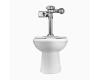 Sloan 20001402 WETS-2000.1402 ST-2009 Floor Mount Closet & Royal 111 Smo Flushometer Sloan 20001402 WETS-2000.1402 ST-2009 Floor Mount Closet & Royal 111 Smo Flushometer